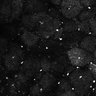 Thumbnail for dataset Fig8-S8_Gua-Acp_13