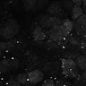 Thumbnail for dataset Fig8-S8_Gua-Acp_18