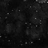 Thumbnail for dataset Fig8-S8_Gua-Acp_29