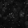 Thumbnail for dataset Fig8-S8_Gua-Acp_50