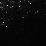 Thumbnail for dataset Fig3B_Thy1-YFP-H