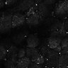Thumbnail for dataset Fig8-S8_Gua-Acp_90