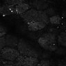 Thumbnail for dataset Fig8-S8_Gua-Acp_112