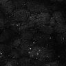 Thumbnail for dataset Fig8-S8_Gua-Acp_124