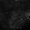 Thumbnail for dataset Fig8-S8_Gua-Acp_136