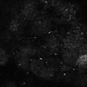 Thumbnail for dataset Fig8-S8_Hex_3
