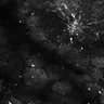 Thumbnail for dataset Fig8-S8_Hex_25