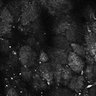 Thumbnail for dataset Fig8-S8_Oca_3
