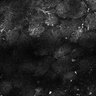 Thumbnail for dataset Fig8-S8_Oca_10
