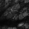 Thumbnail for dataset Fig8-S8_Oca_18