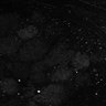 Thumbnail for dataset Fig8-S8_Oca_36