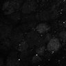 Thumbnail for dataset Fig8-S8_Oca_38