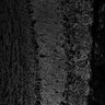 Thumbnail for dataset FigS1L_2