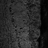 Thumbnail for dataset FigS1M_2