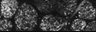 Thumbnail for dataset FigS2B