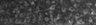 Thumbnail for dataset FigS2D