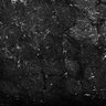 Thumbnail for dataset FigS3A