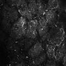 Thumbnail for dataset FigS3B_2