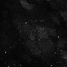 Thumbnail for dataset FigS3C_2