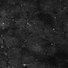Thumbnail for dataset FiguS4A-S4B_Acetophenone_2