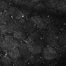 Thumbnail for dataset FiguS4A-S4B_Amylacetate_1