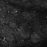 Thumbnail for dataset FiguS4A-S4B_Amylacetate_3