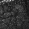 Thumbnail for dataset FiguS4A-S4B_Amylacetate_5