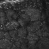 Thumbnail for dataset FiguS4A-S4B_Amylacetate_6