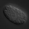 Thumbnail for dataset RNAi_C38D4.6_040629_02