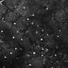 Thumbnail for dataset FiguS4A-S4B_Anisol_3
