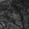 Thumbnail for dataset FiguS4A-S4B_Anisol_4