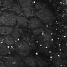 Thumbnail for dataset FiguS4A-S4B_Anisol_8