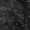 Thumbnail for dataset FiguS4A-S4B_Anisol_9