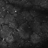 Thumbnail for dataset FiguS4A-S4B_Benzaldehyde_1