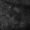 Thumbnail for dataset FiguS4A-S4B_Benzaldehyde_3