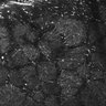 Thumbnail for dataset FiguS4A-S4B_Benzaldehyde_4
