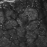 Thumbnail for dataset FiguS4A-S4B_Benzaldehyde_5