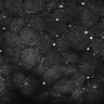 Thumbnail for dataset FiguS4A-S4B_Beta-citronellol_1