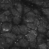 Thumbnail for dataset FiguS4A-S4B_Beta-citronellol_6