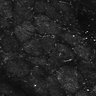 Thumbnail for dataset FiguS4A-S4B_Beta-citronellol_8