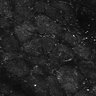 Thumbnail for dataset FiguS4A-S4B_Beta-citronellol_9