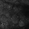 Thumbnail for dataset FiguS4A-S4B_Butyric-acid_1