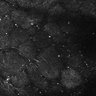 Thumbnail for dataset FiguS4A-S4B_Butyric-acid_2