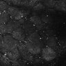 Thumbnail for dataset FiguS4A-S4B_Butyric-acid_3