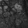 Thumbnail for dataset FiguS4A-S4B_Butyric-acid_4