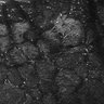 Thumbnail for dataset FiguS4A-S4B_Butyric-acid_6