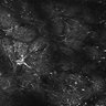Thumbnail for dataset FiguS4A-S4B_Butyric-acid_8