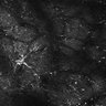 Thumbnail for dataset FiguS4A-S4B_Butyric-acid_9