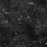 Thumbnail for dataset FiguS4A-S4B_Carvone_1