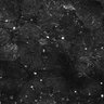 Thumbnail for dataset FiguS4A-S4B_Carvone_3
